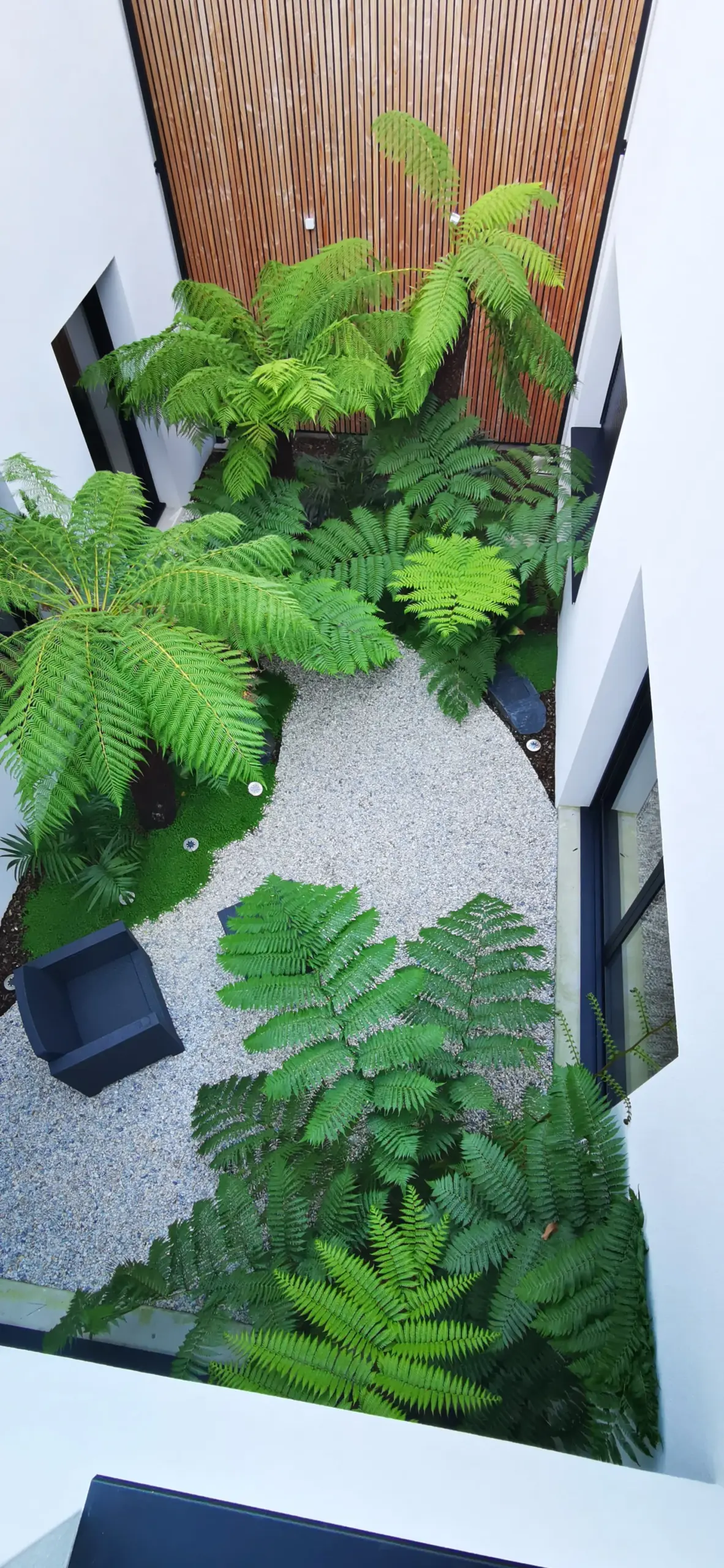 Création patio jardin de ville Brest — Terre Lointaine