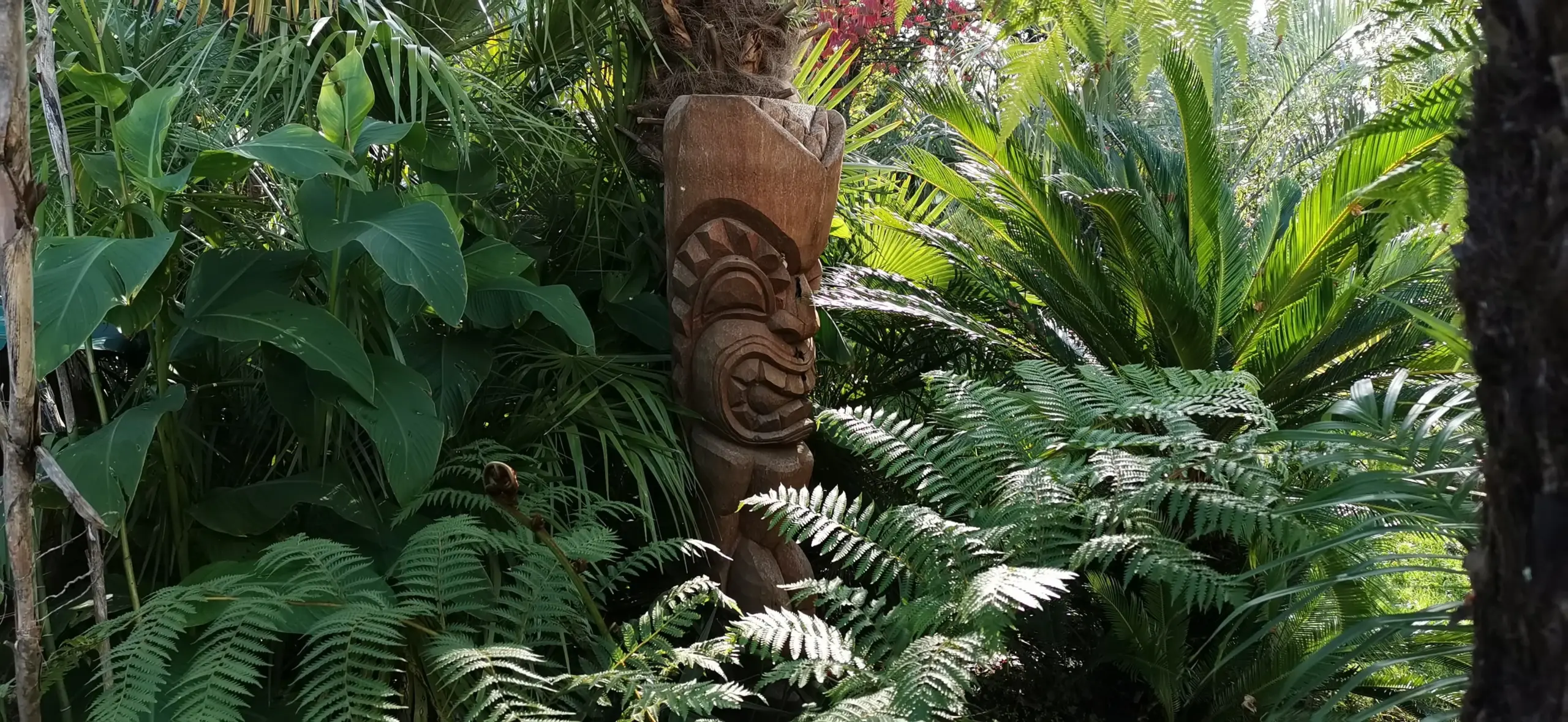 Création jardin tropical Brest — Terre Lointaine