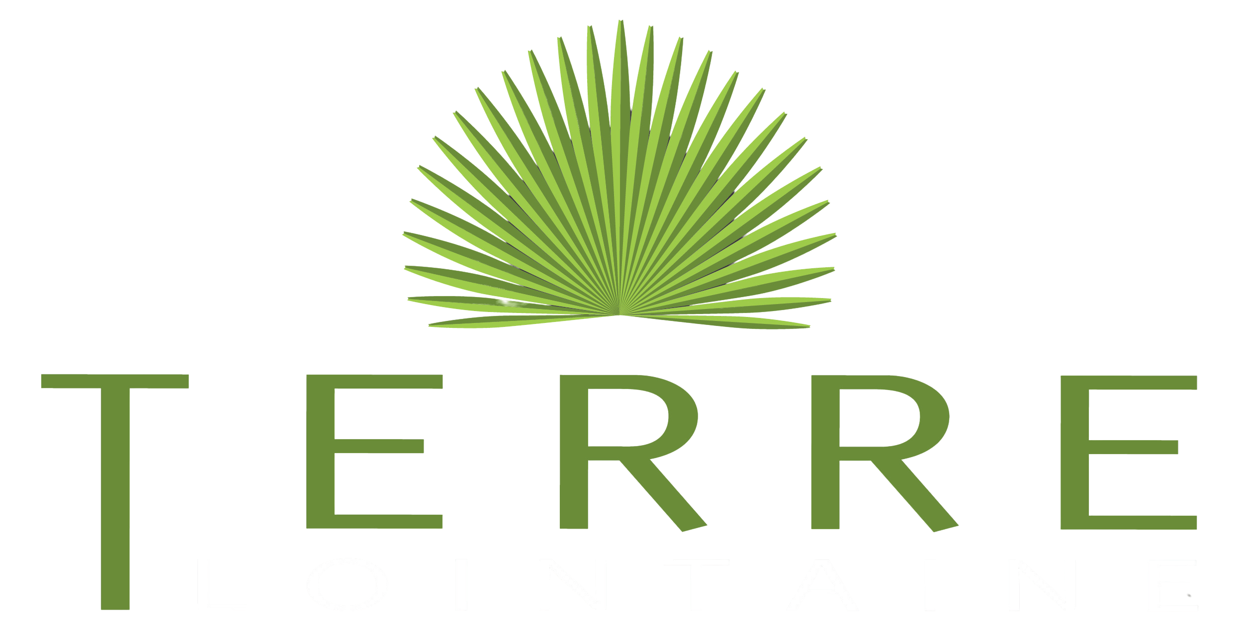 Terre Lointaine