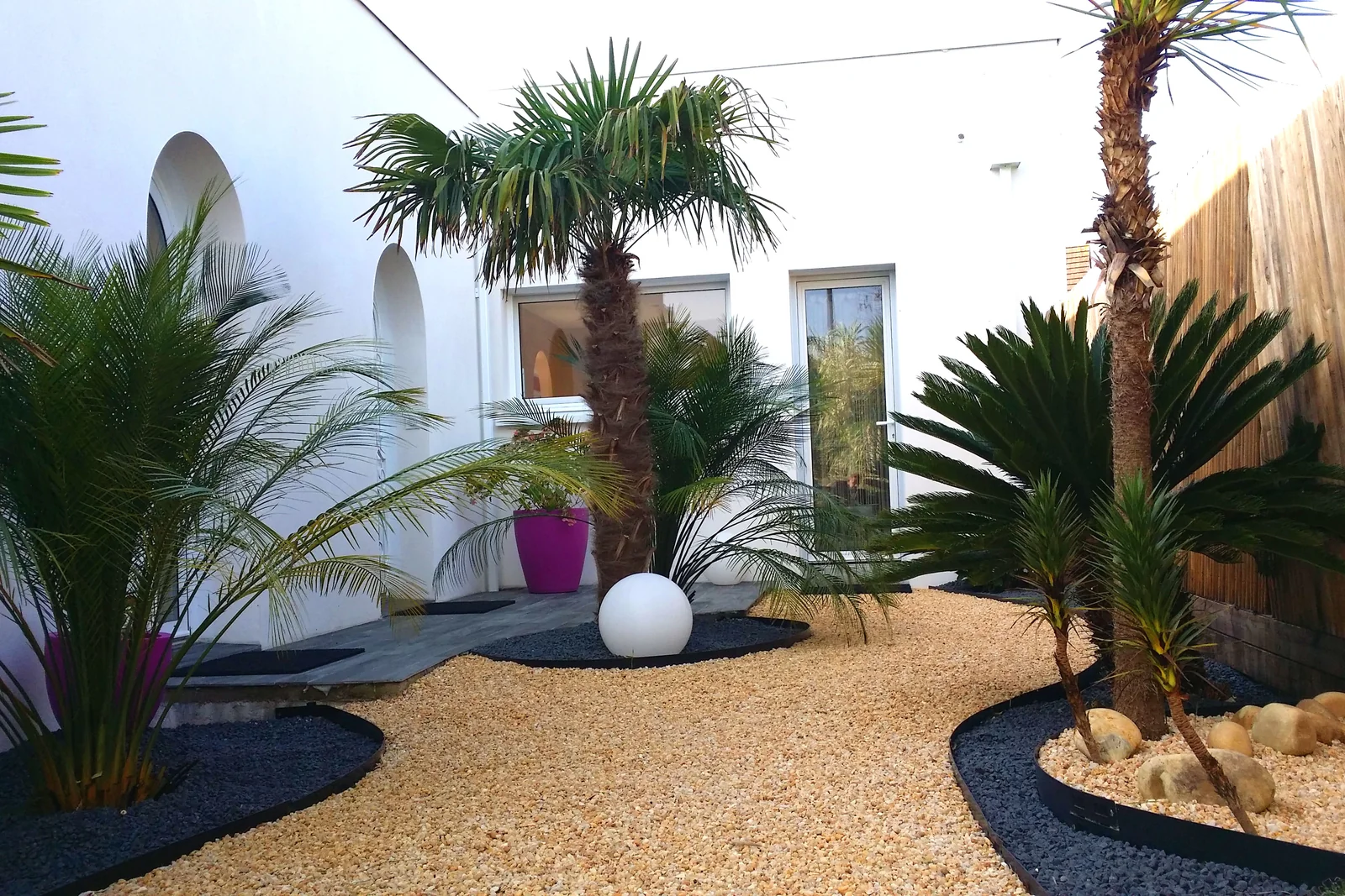 Jardin contemporain fougères arborescentes