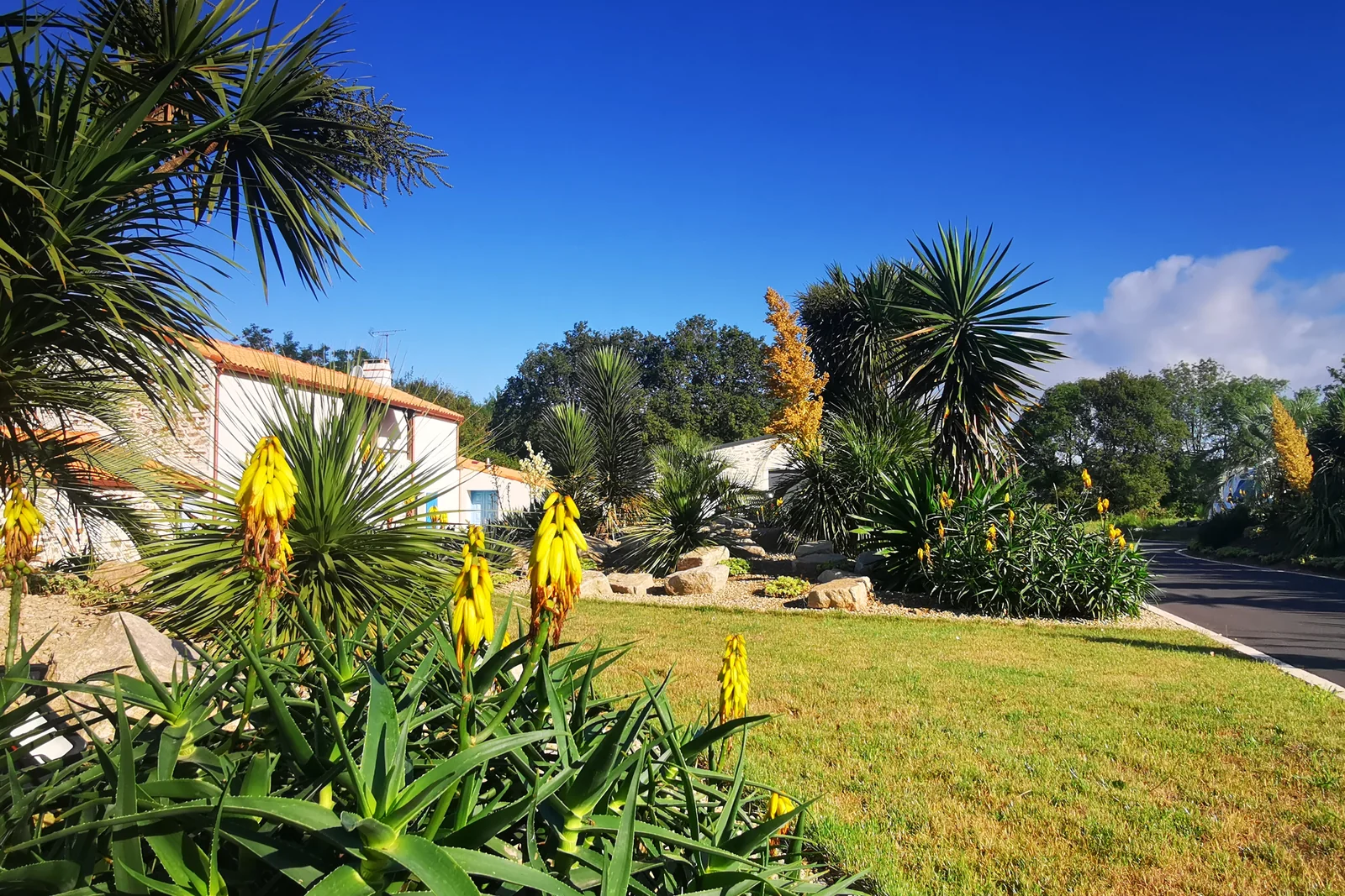 Jardin contemporain — Terre Lointaine Paysage