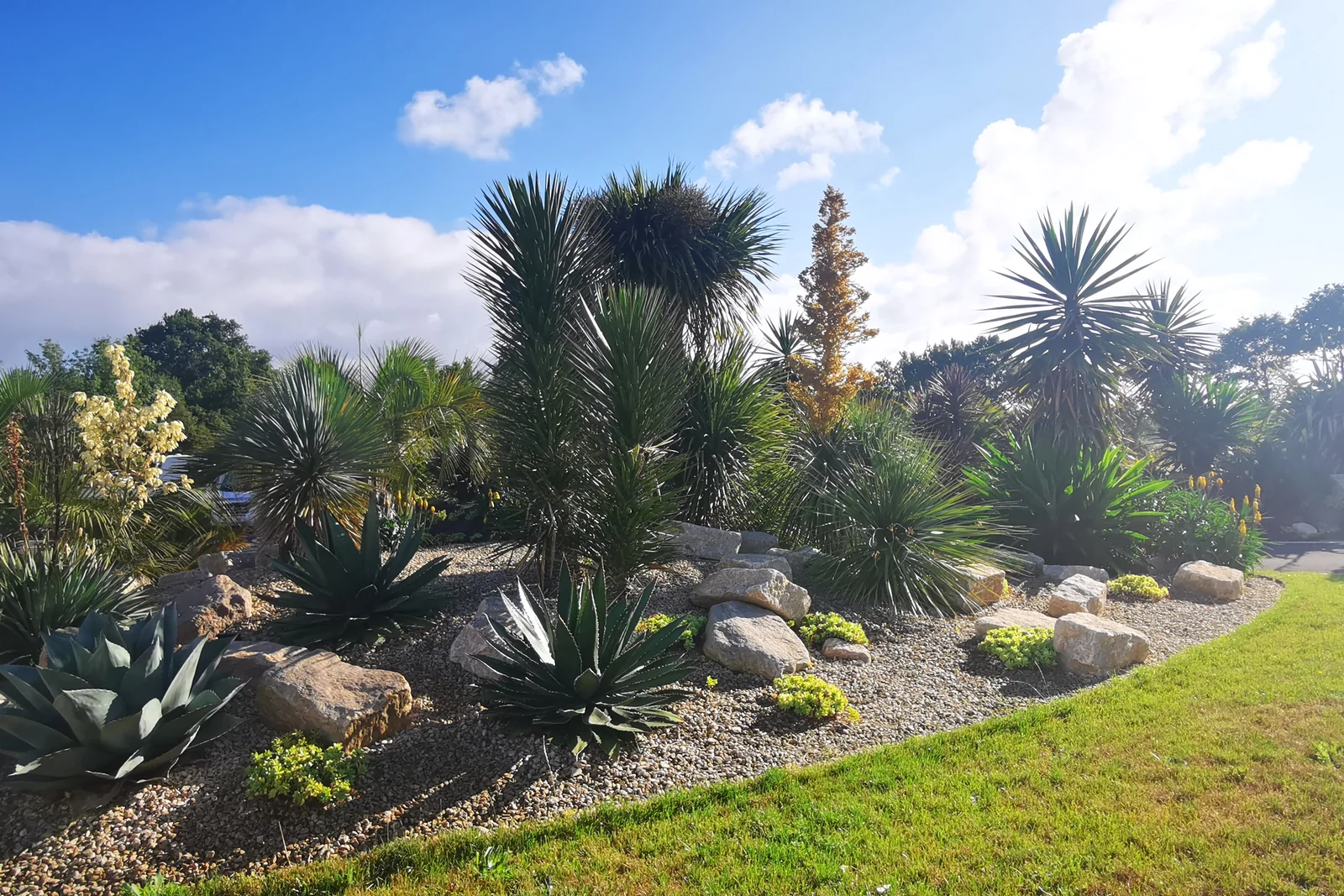 Jardin contemporain — Terre Lointaine Paysage