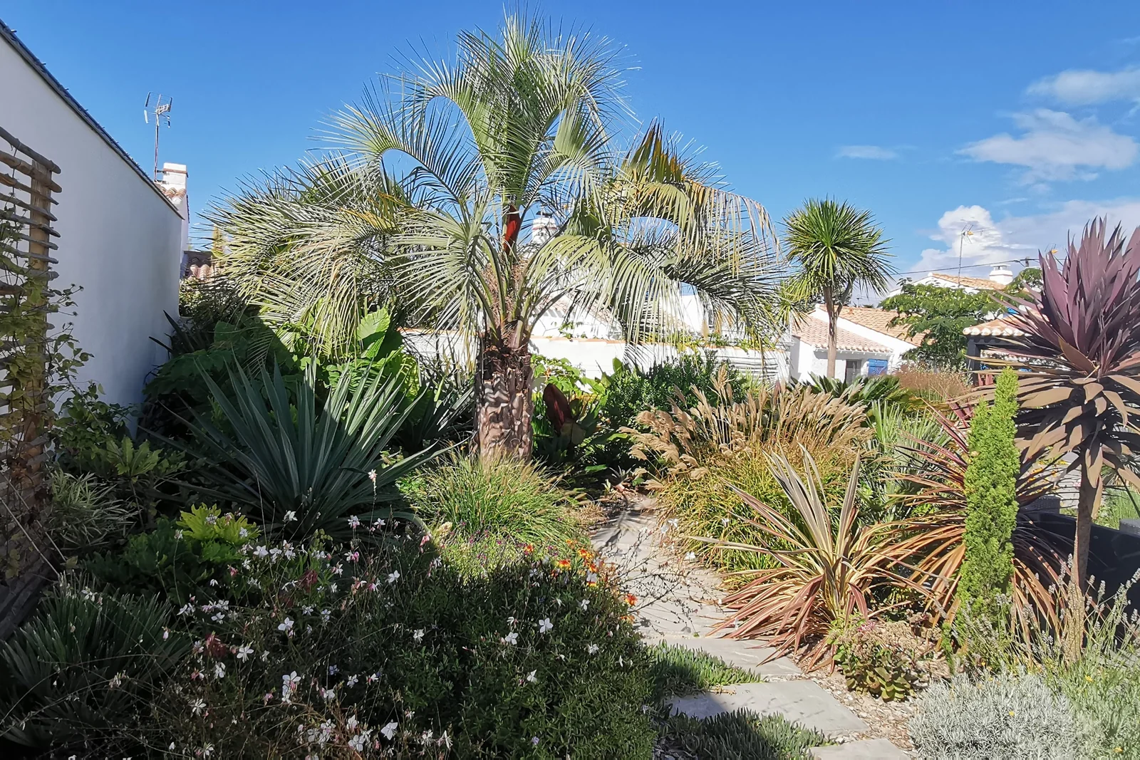 Yuccas agaves jardin xérophyte