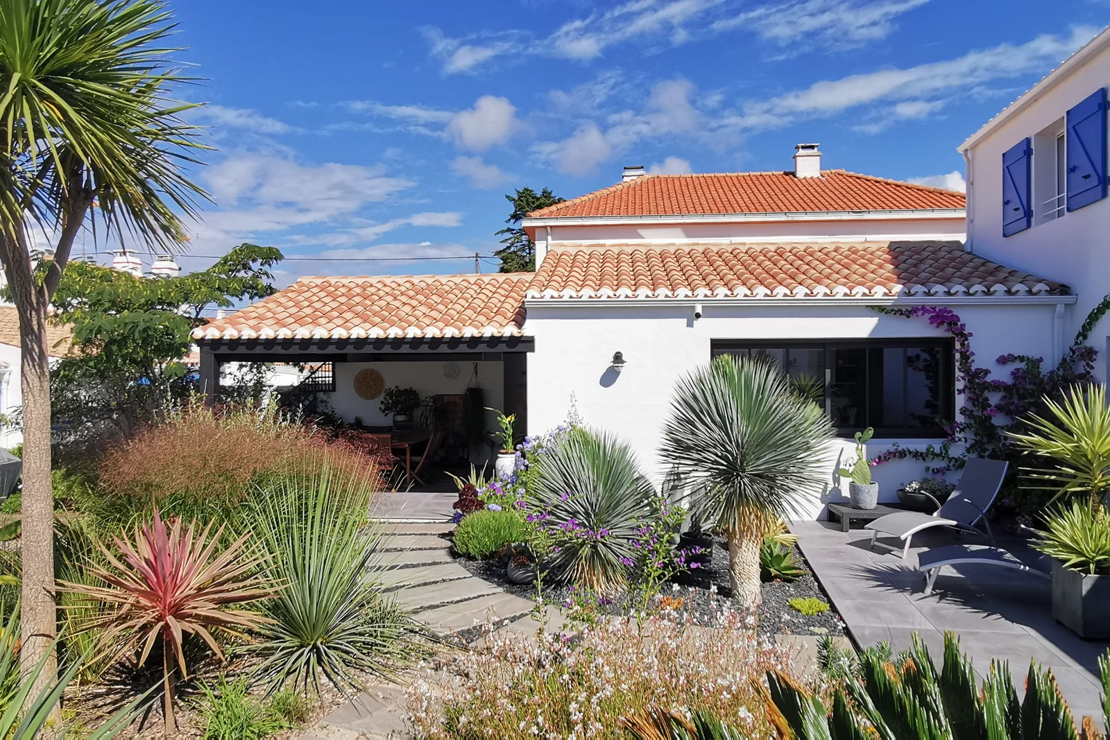 Jardin méditerranéen olivier