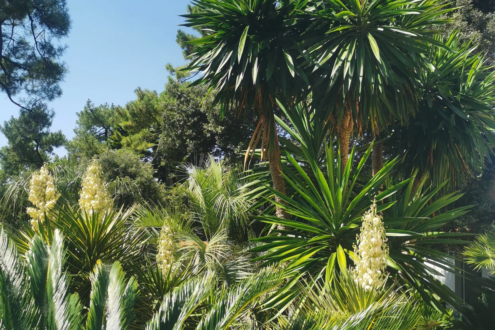 Jardin sec ambiance aride — Terre Lointaine Paysage