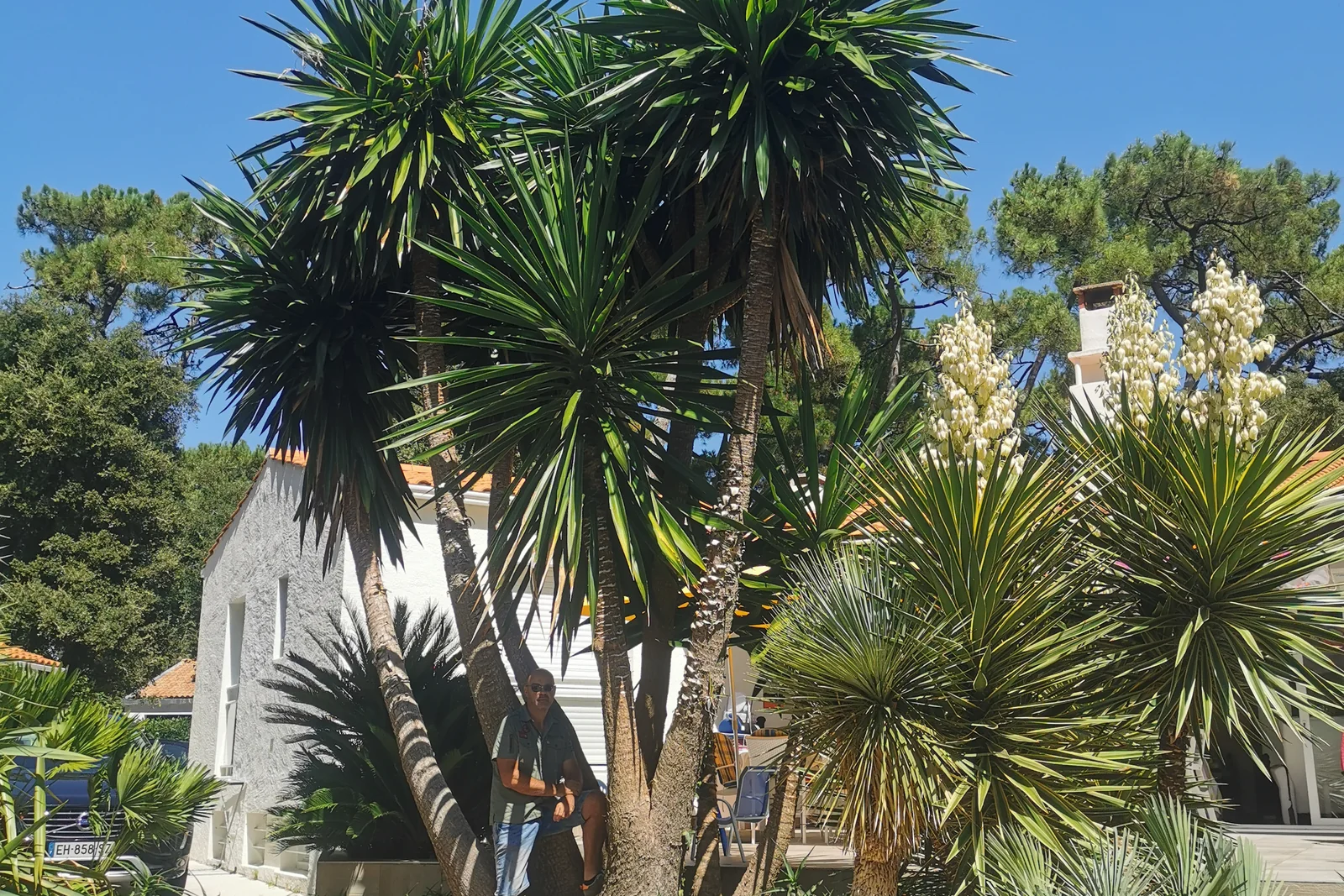 Jardin sec ambiance aride — Terre Lointaine Paysage