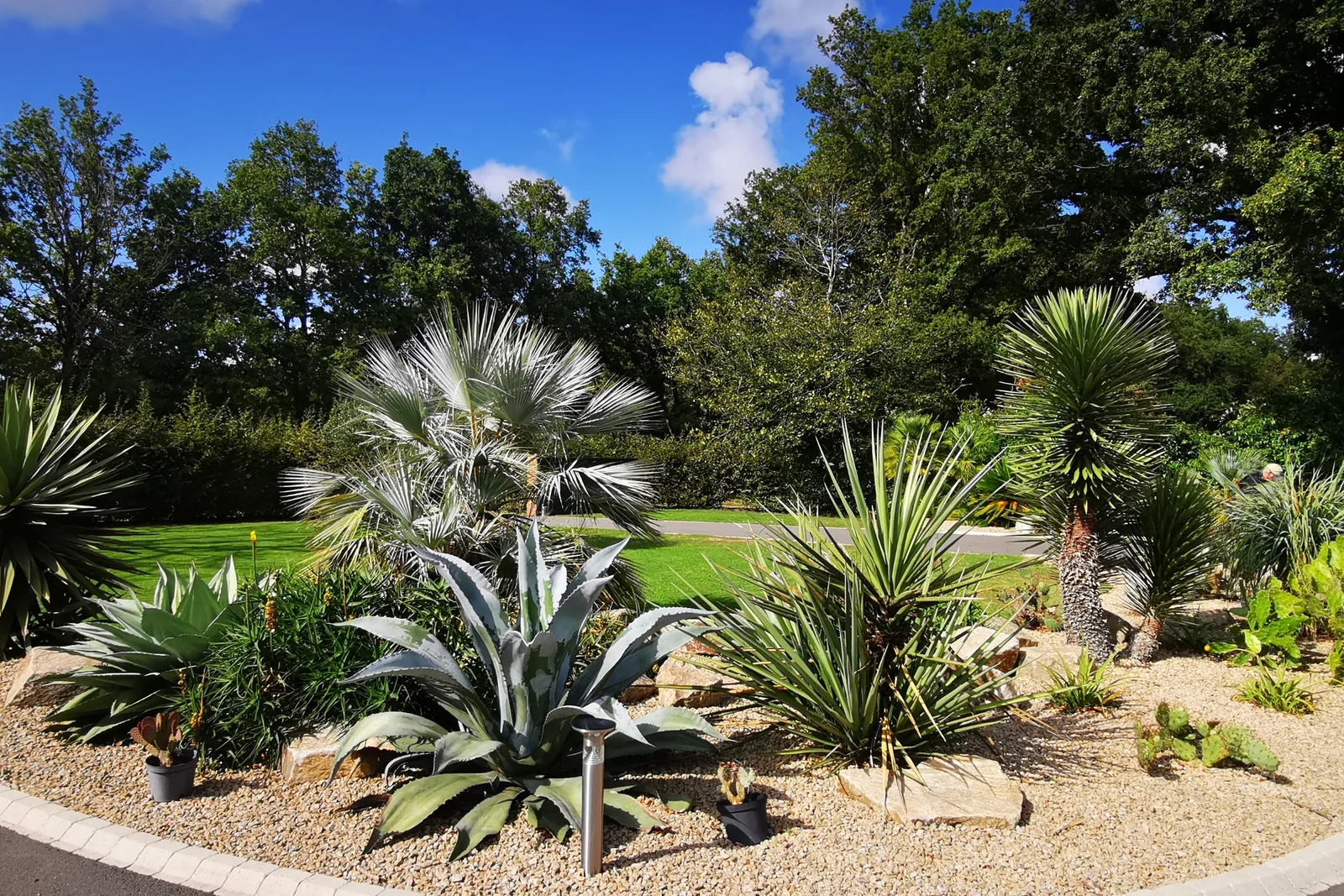 Jardin sec ambiance aride — Terre Lointaine Paysage