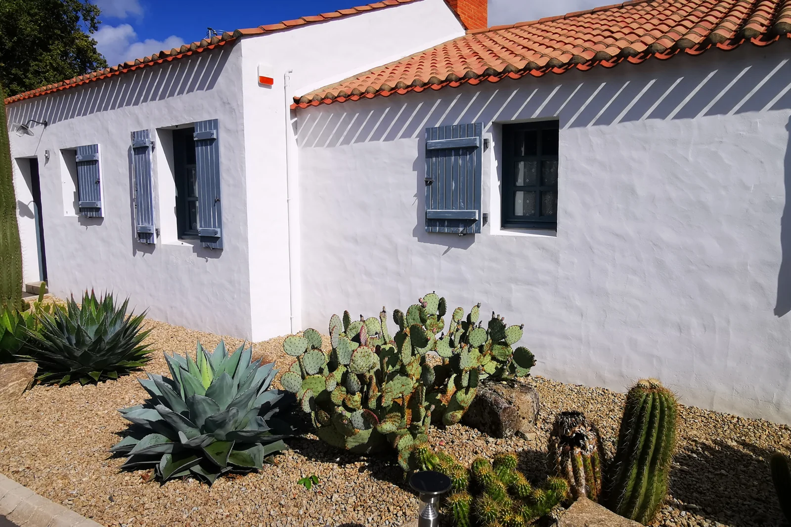 Jardin sec ambiance aride — Terre Lointaine Paysage