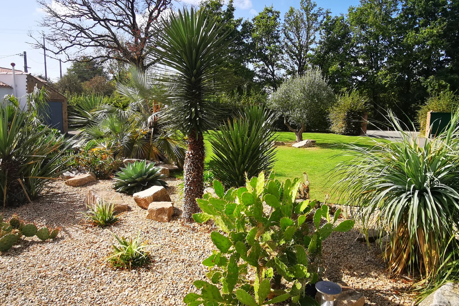 Jardin sec ambiance aride — Terre Lointaine Paysage
