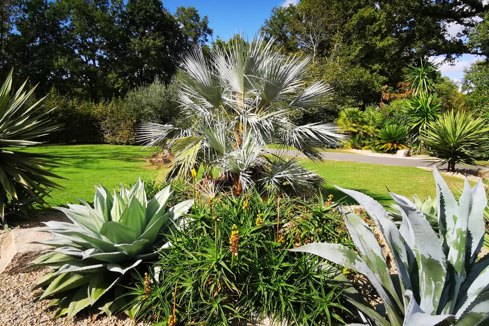Jardin sec ambiance aride — Terre Lointaine Paysage