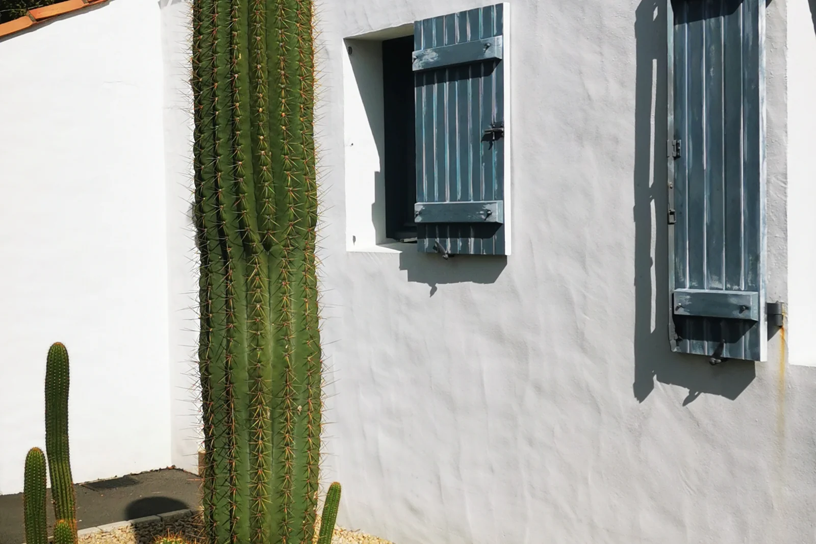 Jardin sec ambiance aride — Terre Lointaine Paysage