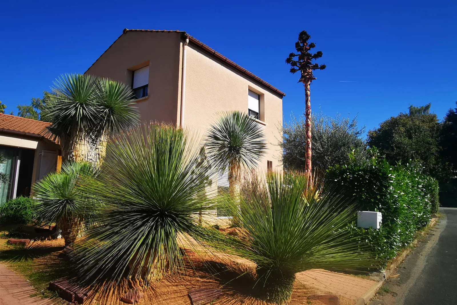 Jardin sec ambiance aride — Terre Lointaine Paysage