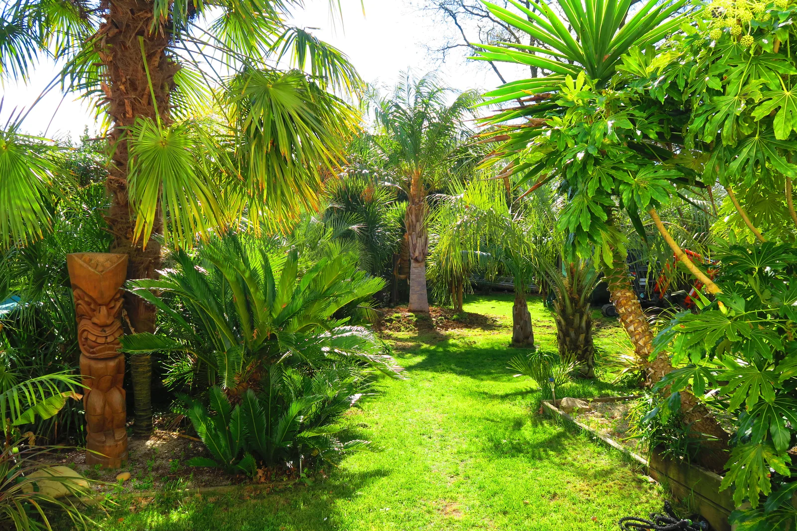 Jardin tropical piscine intérieure