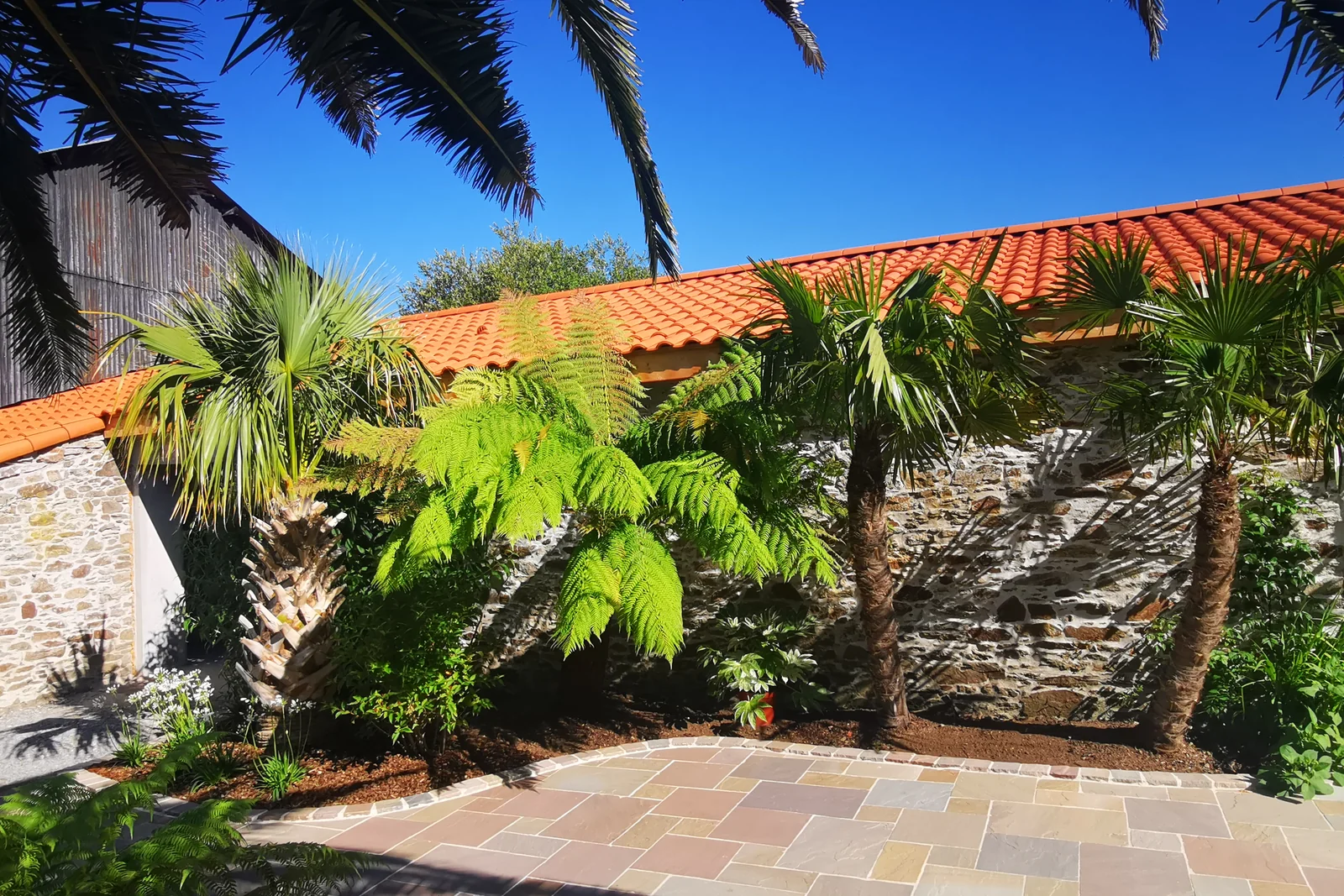 Jardin jungle ambiance tropicale — Terre Lointaine Paysage