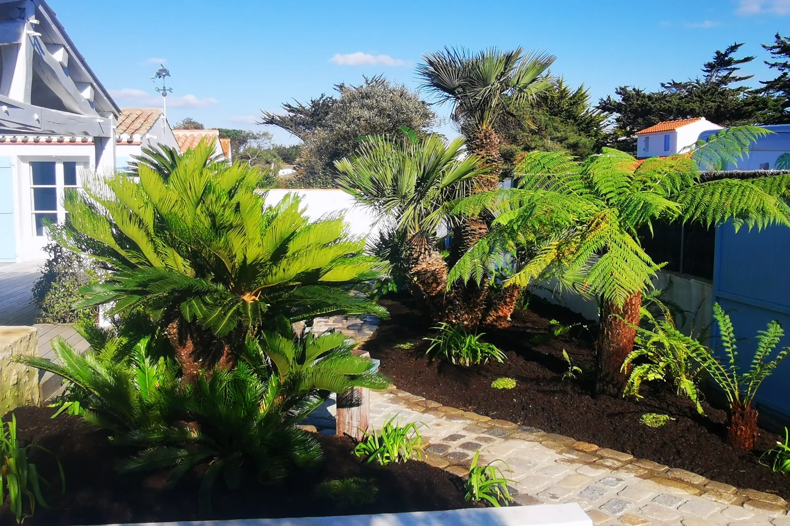 Jardin jungle ambiance tropicale — Terre Lointaine Paysage