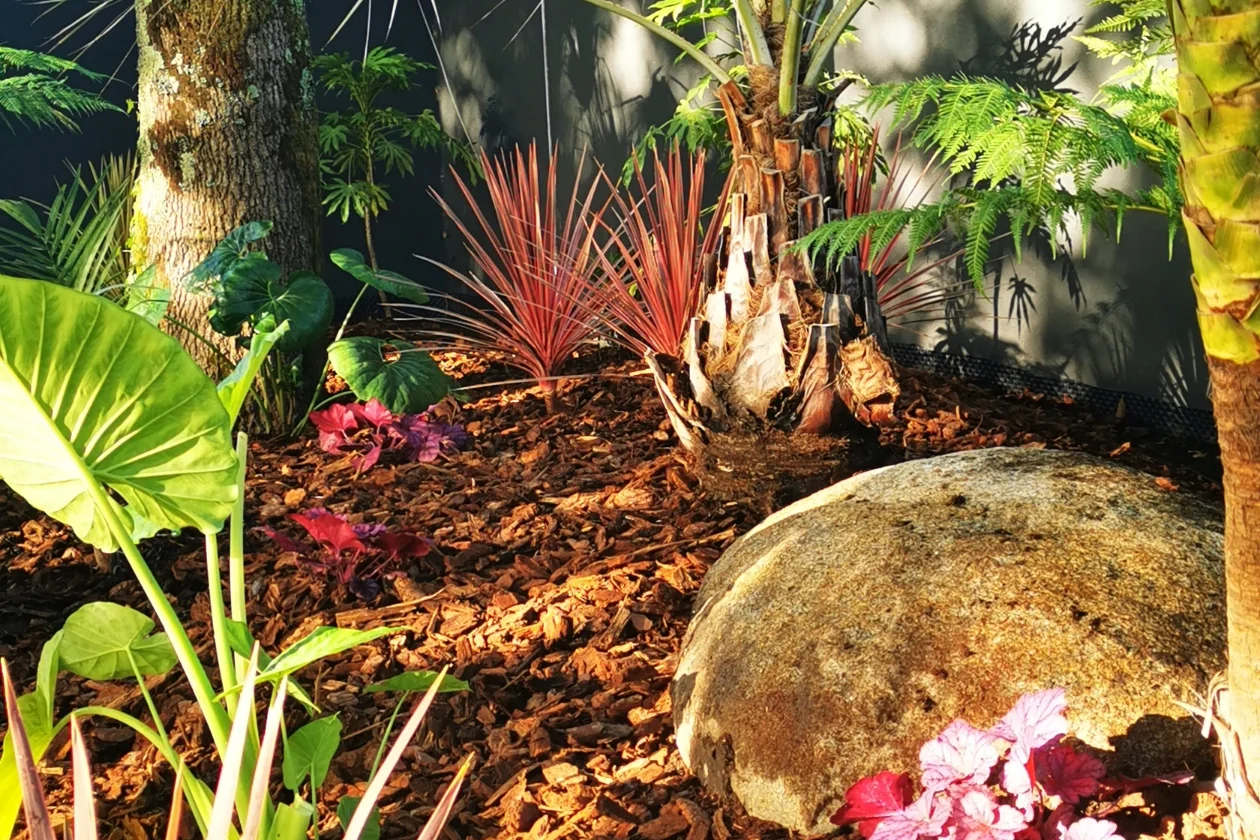 Jardin jungle ambiance tropicale — Terre Lointaine Paysage