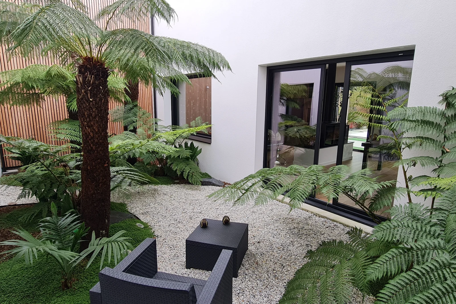 Patio tropical palmiers cycas