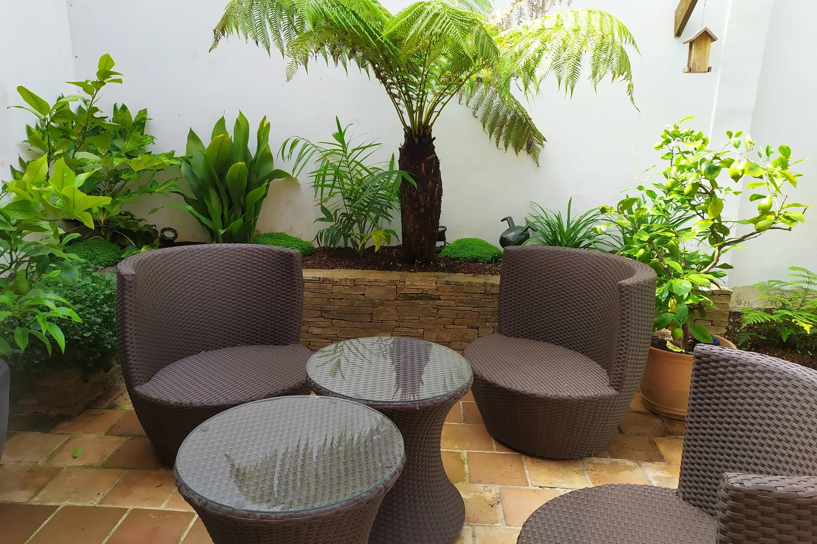Terrasse bois exotique palmiers