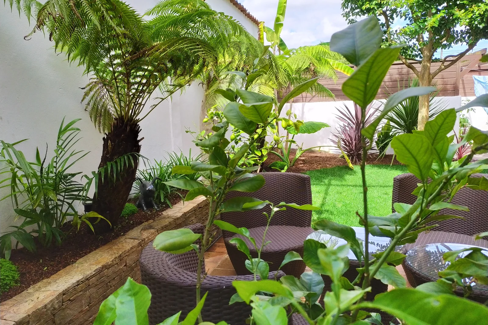 Terrasse palmiers vue intérieure