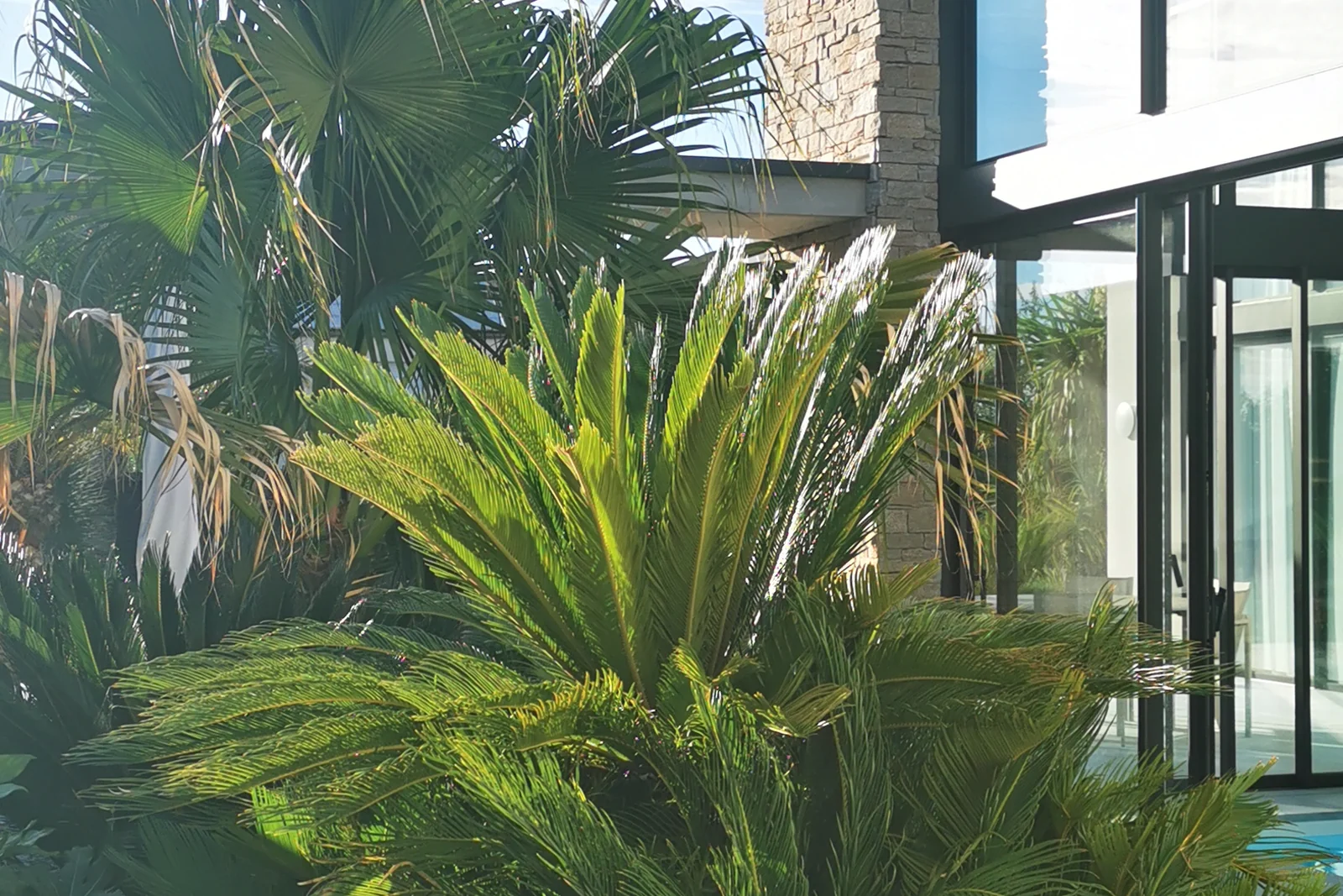 Patio et terrasse — Terre Lointaine Paysage