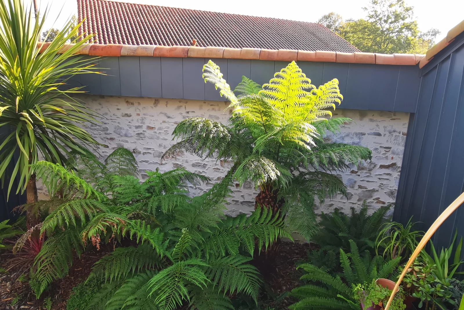 Patio et terrasse — Terre Lointaine Paysage