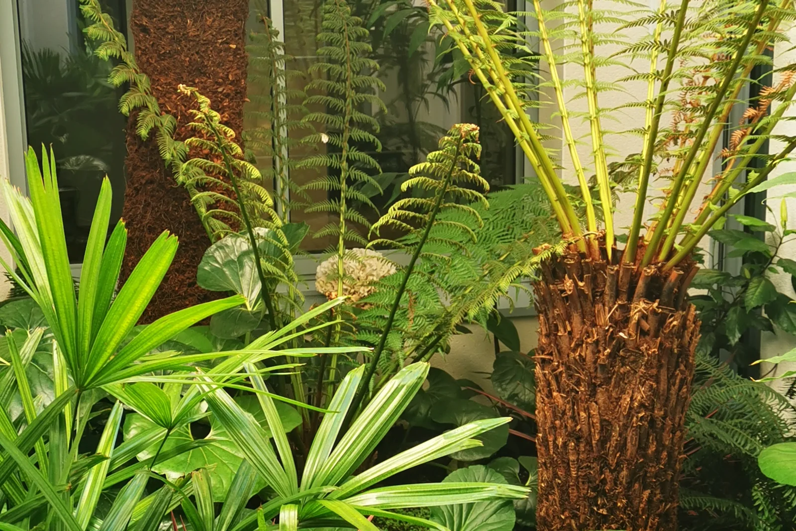 Patio et terrasse — Terre Lointaine Paysage